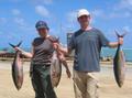 Our catch of yellowfin tuna