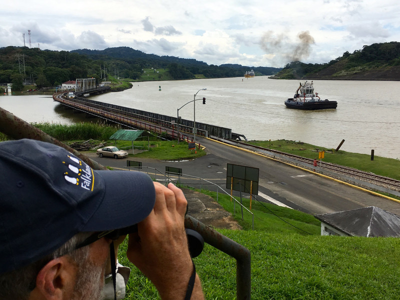 Looking out over the Panama Canal