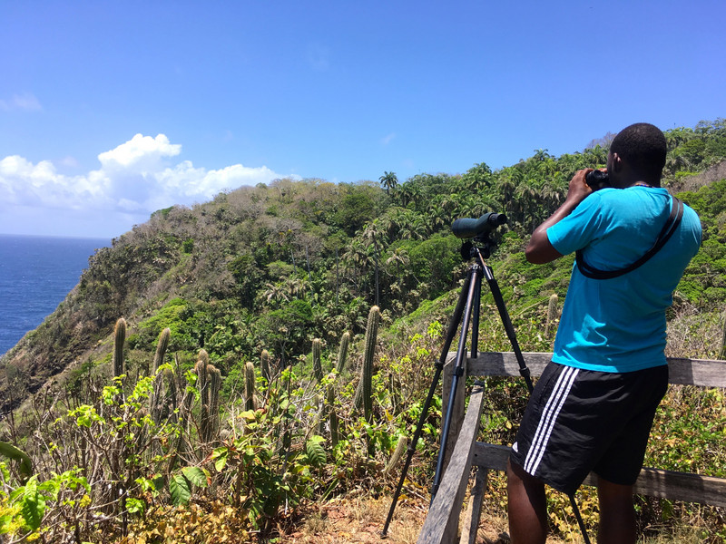 Randy bird spotting on Little Tobago Island