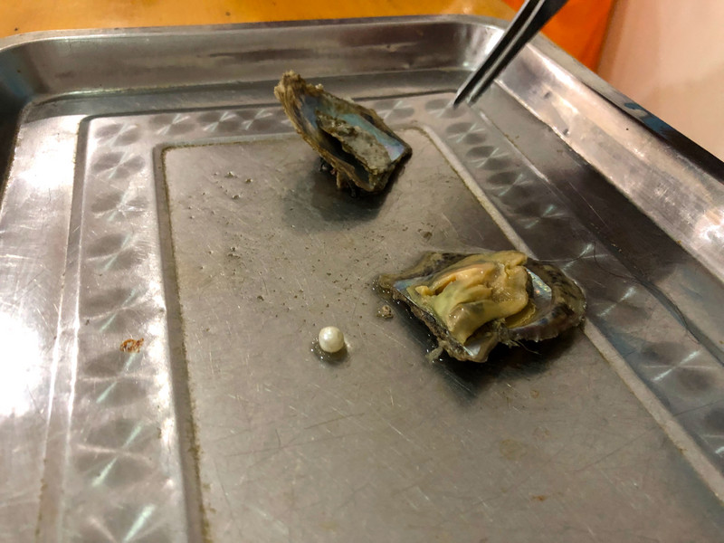 Pearl inside Oyster