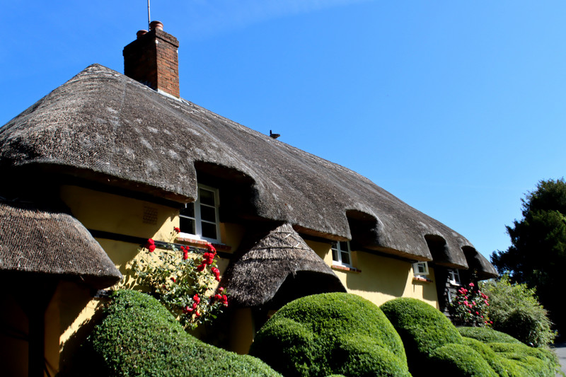 Local thatched cottages