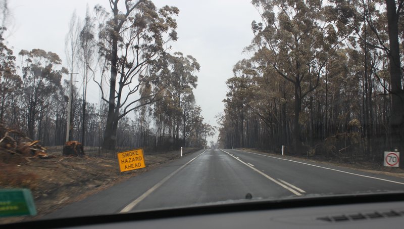 Bush Fire Princes Highway