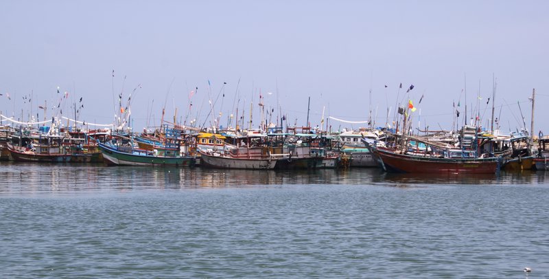 Mirissa Harbour