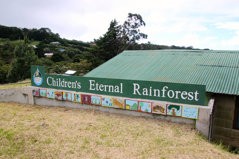 Children's Eternal Rainforest