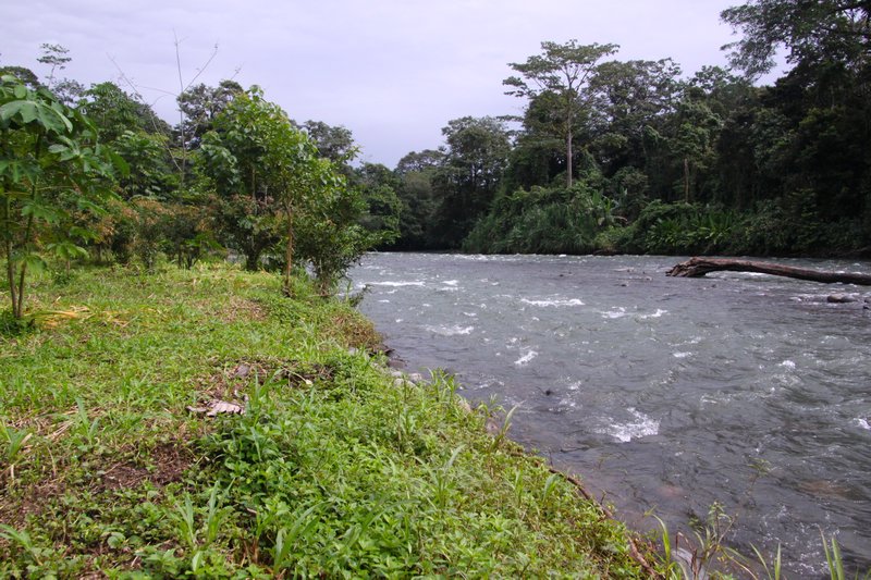Rio Sarapiqui