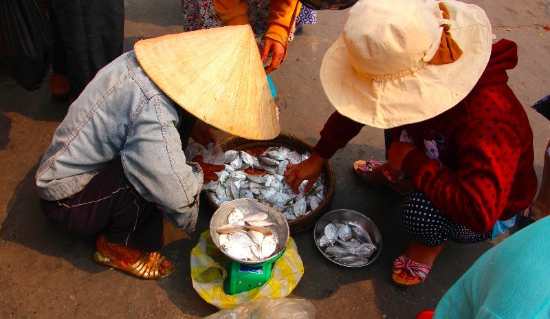 Hoi An Market - fish