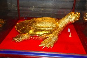 Solid Gold Turtle