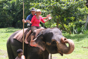 Sri Lanka Elephant Rescue