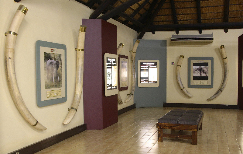 Elephant Hall - Lataba Camp
