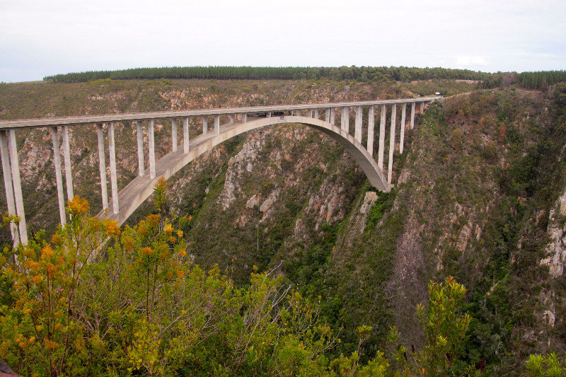 Bloukrans River Bridge
