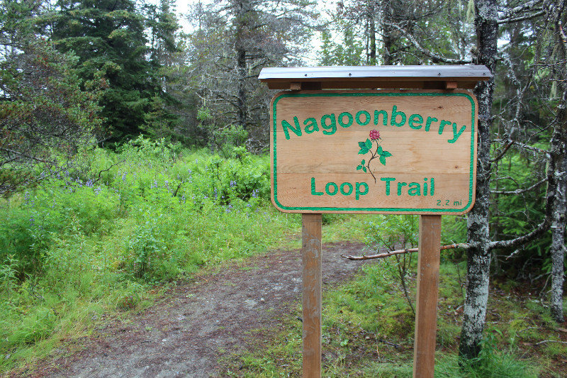 Nagoonberry Loop Trail