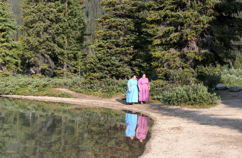 Reflections Bow Lake