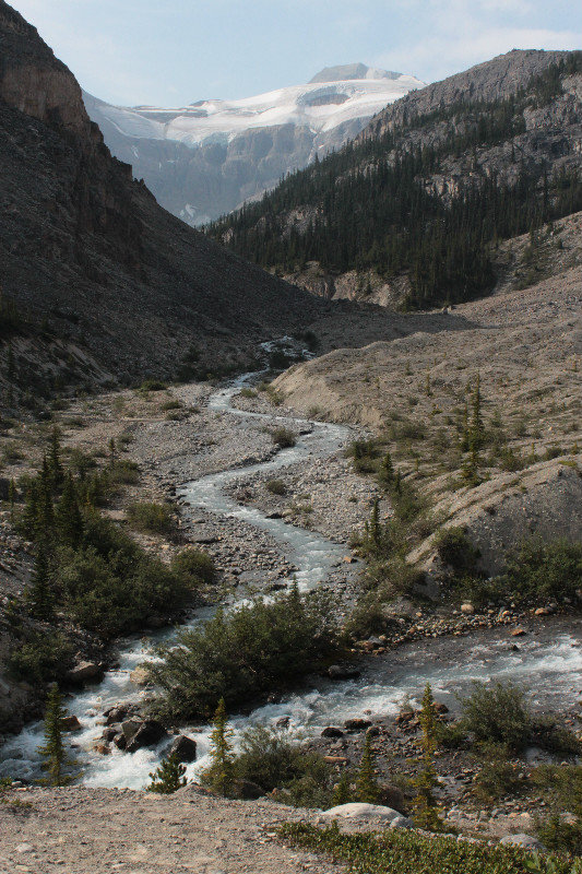 Snaking Bow River