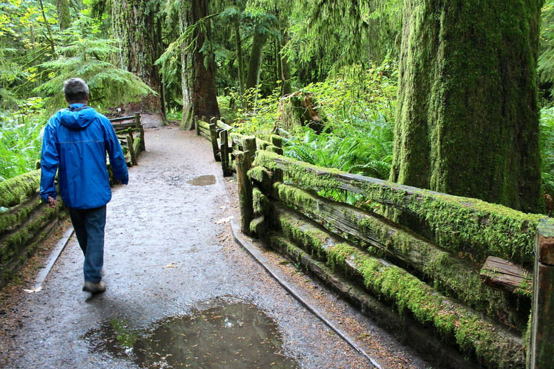 Cathedral Grove - hike