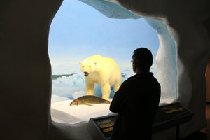 Manitoba Museum Display