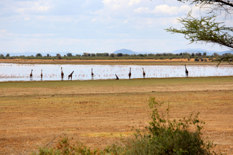 Lakeside Manyara 