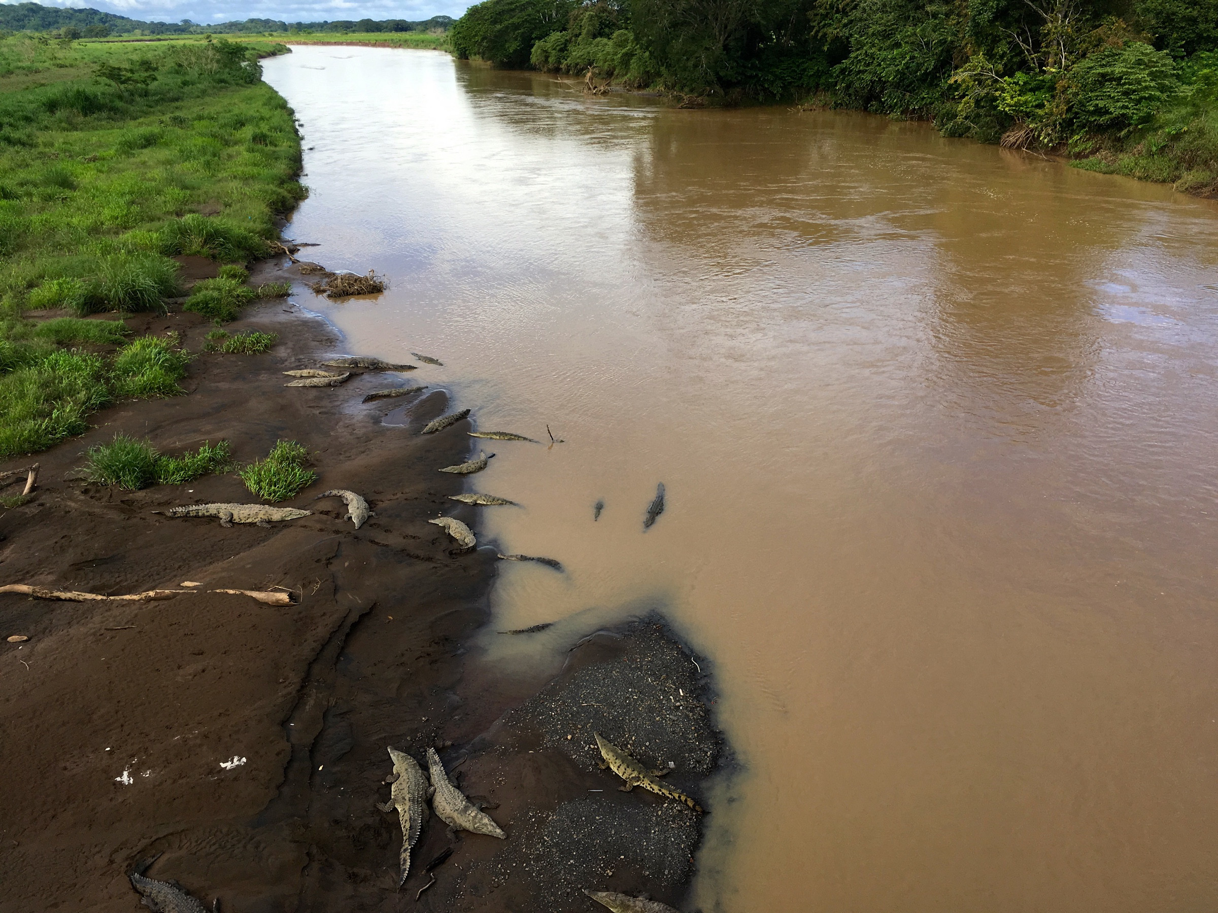 Tárcoles River and | Photo