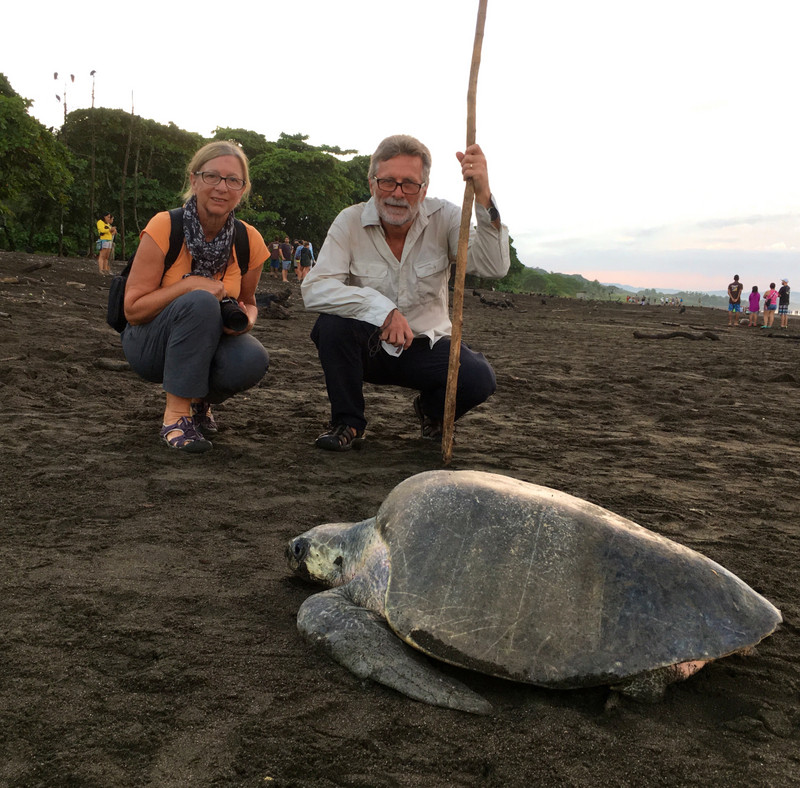 Us and Olive Ridley