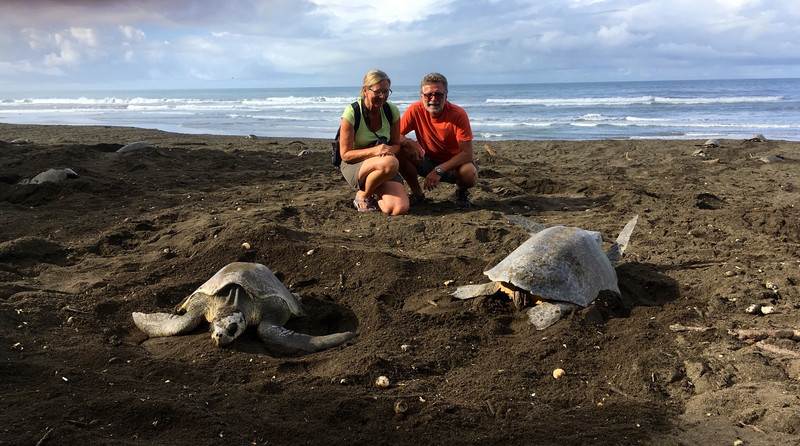 Olive Ridley Marine Turtles & Us