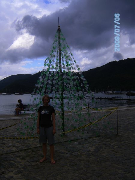 christmas tree made from plastic bottles