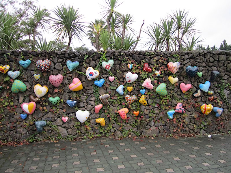 Heart Wall