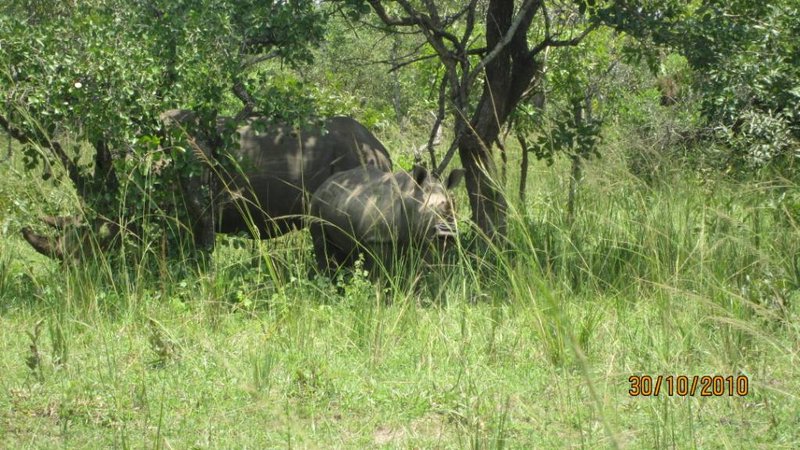 Ziwa Rhino Sancturary