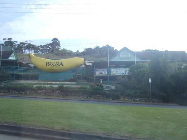 The 'Big Banana' near Coffs Harbour