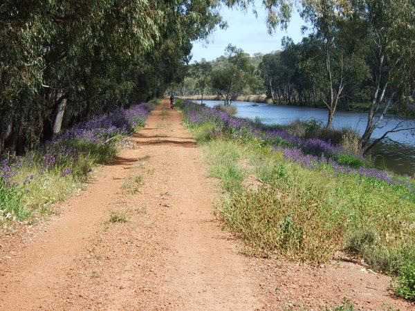 Scenic cycle along the river bank