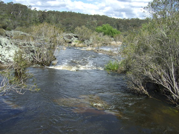 Fast flowing river in Dangars Gorge
