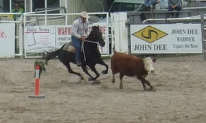 Warwick Rodeo is one of the biggest in Australia