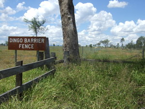 The Dingo Barrier Fence