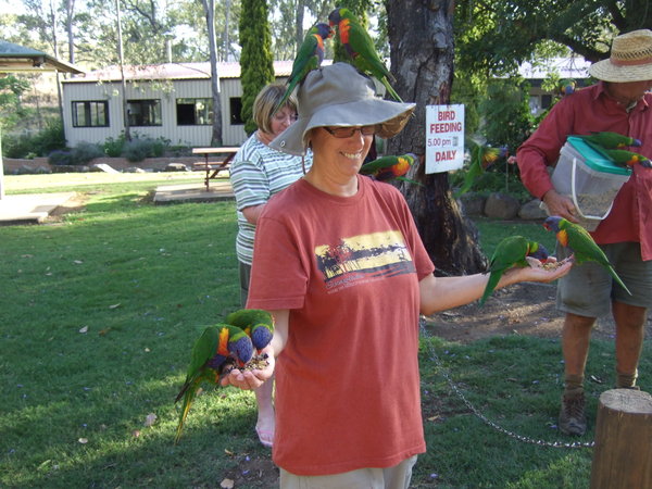 Me, the hat and the lorikeets