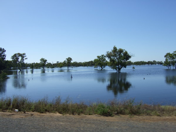 flood waters were often very close to the road