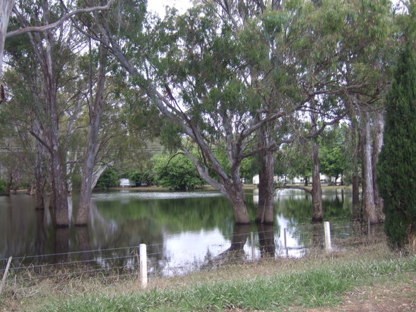 The caravan park in Wangaratta has been flooded several times recently