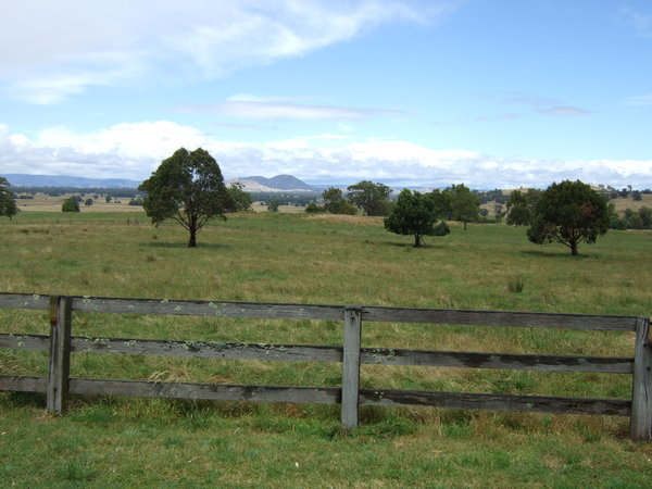 Mt Buller in the background along the gravel road near Mansfield