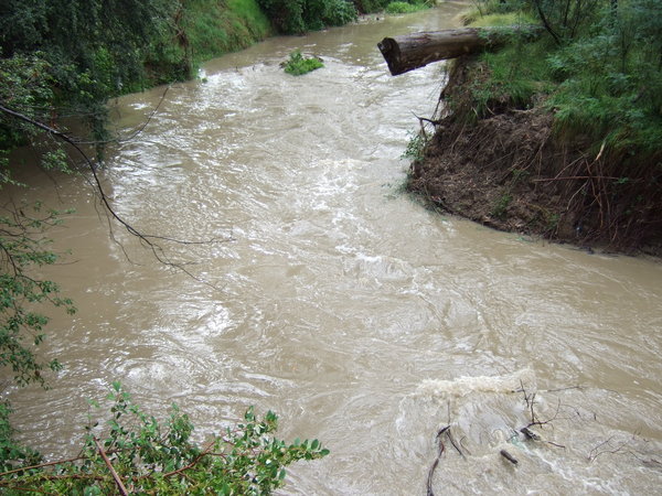 Fast flowing Mullum Mullum Creek
