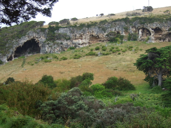 'Young' caves near Fawthrop Lagoon