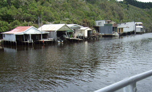 Some of the 'characterful' boat houses on the river
