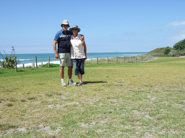 On the picnic area at Pukehina Beach