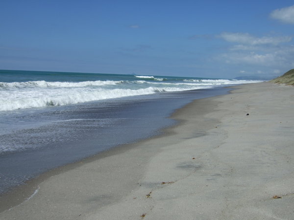 Pukehina Beach