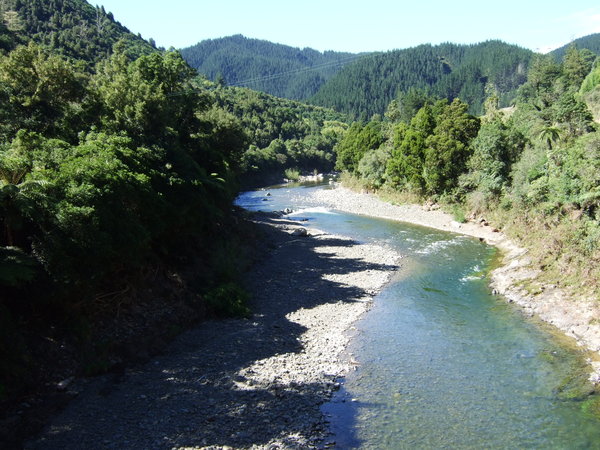 Waioeka River winds its way through the gorge
