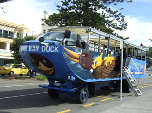 The 'Duck'