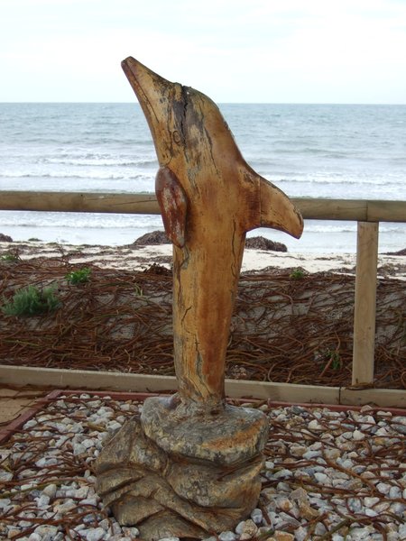 We didn't see any real dolphins in Tumby Bay