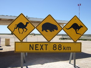 Not sure why the sign said 88 kms