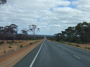 146.6 kms of straight road