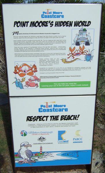 Poster asking people to consider NOT driving on the beach