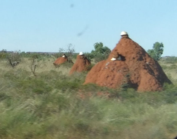 Is this the latest in termite mound decor?