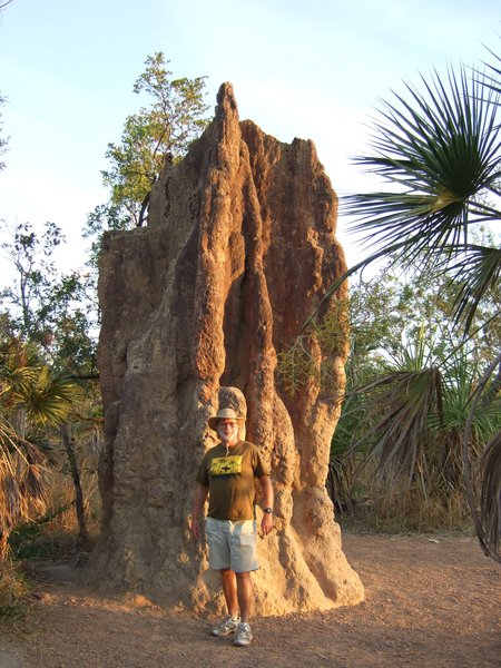 This cathedral termite mound dwarfs Graham