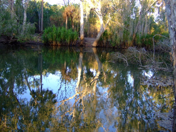 Roper River in the early evening 