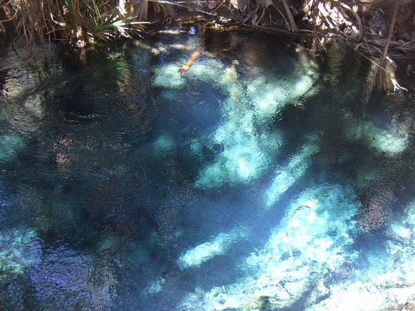 The spring water looked a remarkable colour here 